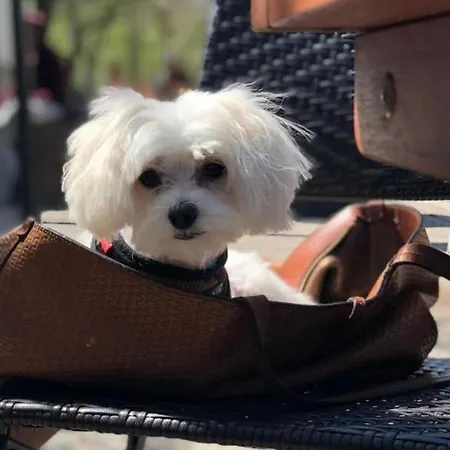 Hanza Tower Sunny 24 & Jacussi & Pool Apartament